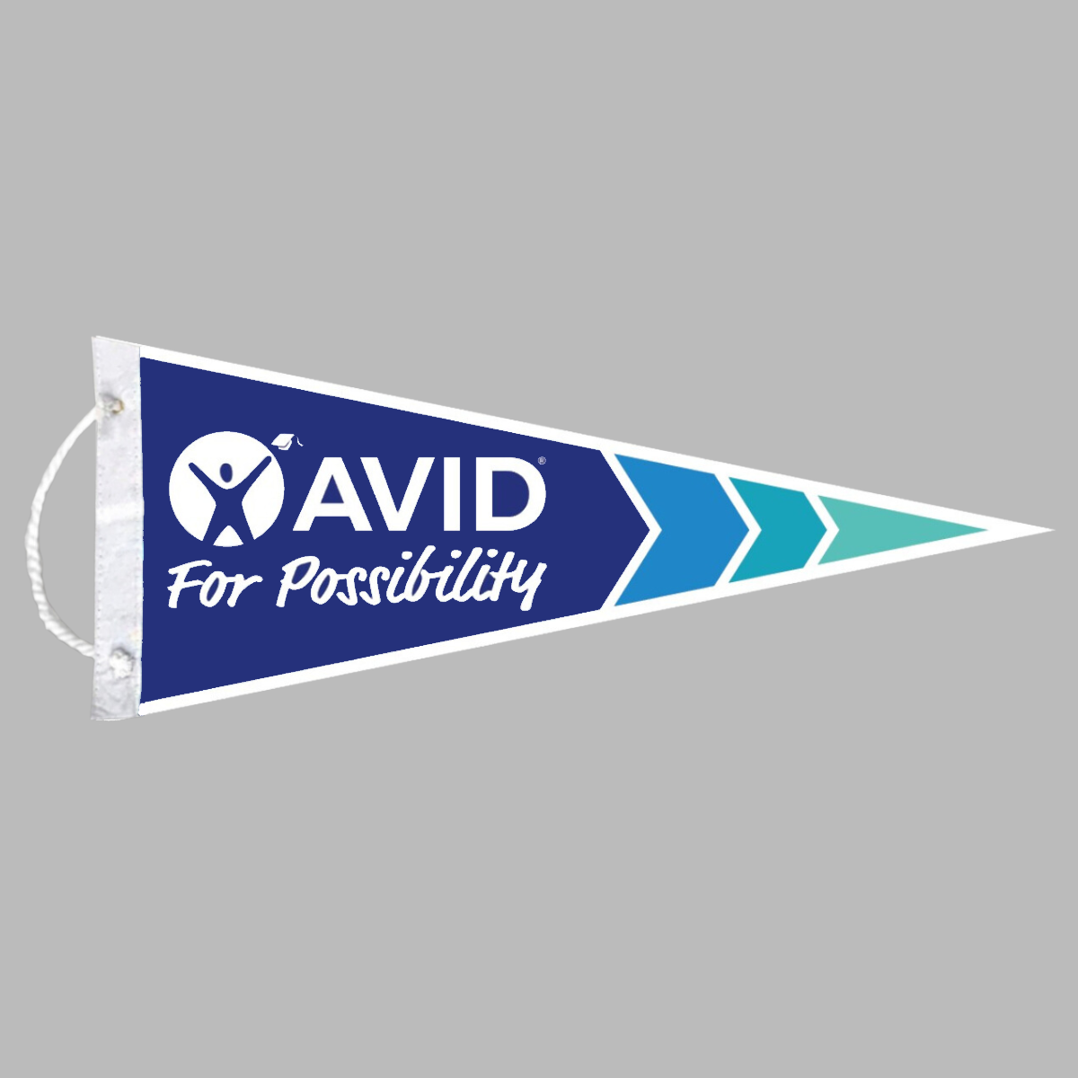 AVID Wall Pennant Chevron